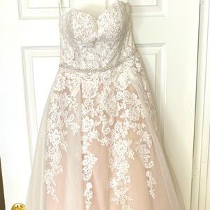 Wedding dress from David’s Bridal. Strapless with a train. Vail included.